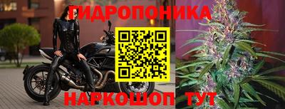 ПСИЛОЦИБИНОВЫЕ ГРИБЫ Рузаевка
