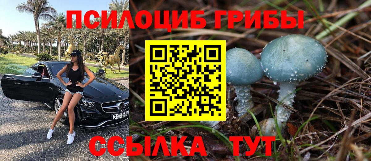 Псилоцибиновые грибы мухоморы  Псилоцибиновые грибы Psilocybe  Вход с VPN  Семёнов 